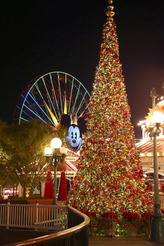 Disneyland Resort Holidays